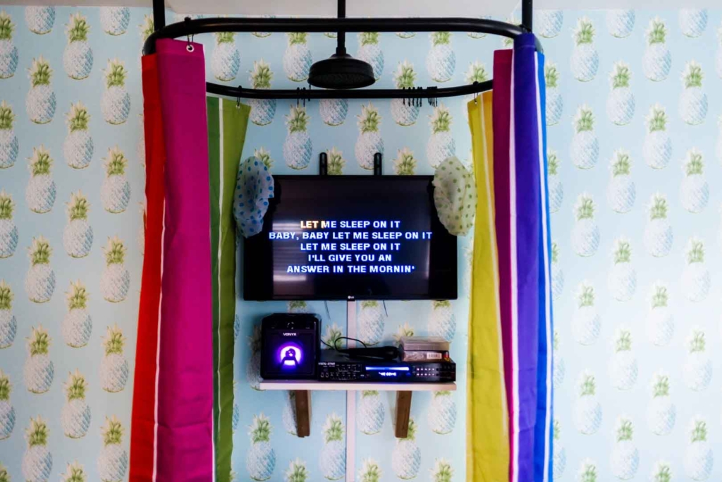 party house with karaoke